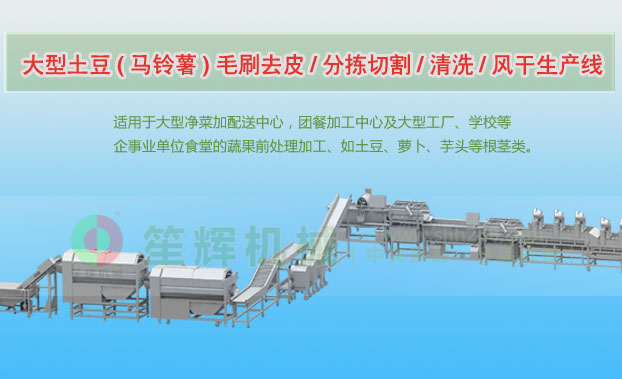 达日连续式土豆去皮清洗切割风干生产线